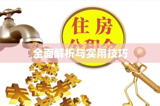 陇南全面解析与实用技巧