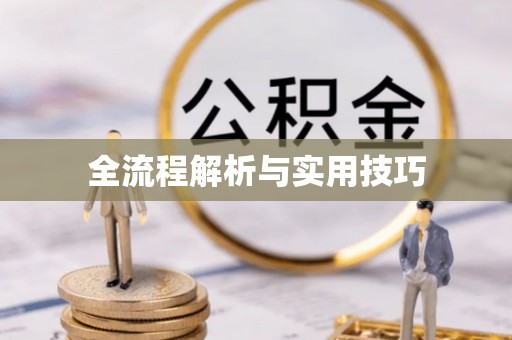 陇南全流程解析与实用技巧