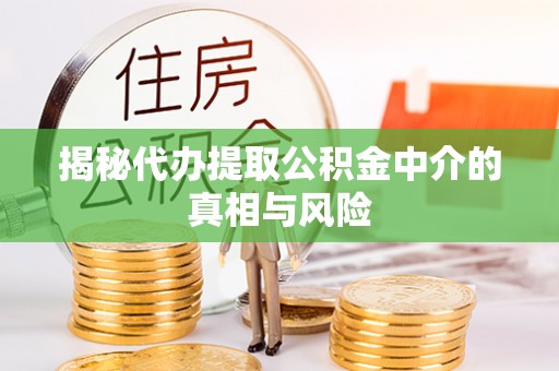 陇南揭秘代办提取公积金中介的真相与风险