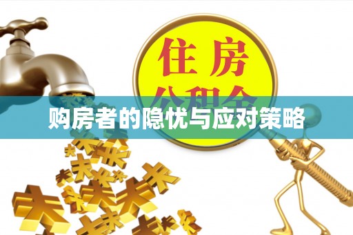 陇南购房者的隐忧与应对策略