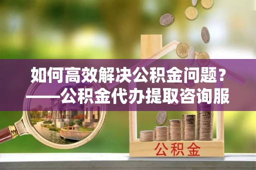陇南如何高效解决公积金问题？——公积金代办提取咨询服务指南