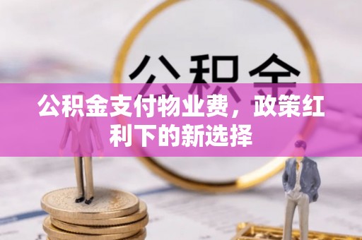 陇南公积金支付物业费，政策红利下的新选择