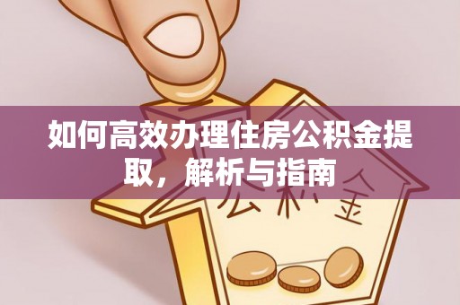 陇南如何高效办理住房公积金提取，解析与指南