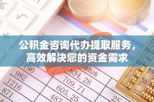 陇南公积金咨询代办提取服务，高效解决您的资金需求