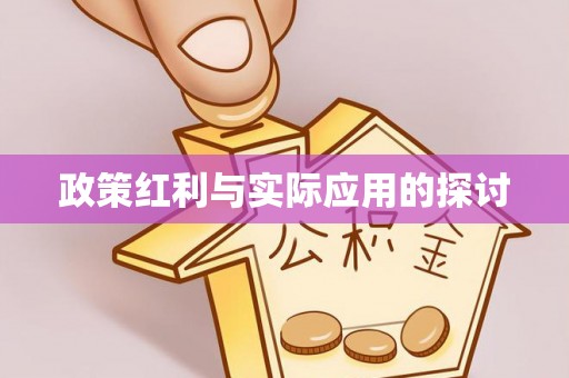 陇南政策红利与实际应用的探讨