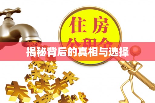 陇南揭秘背后的真相与选择