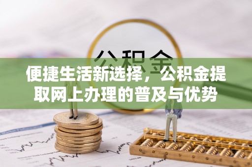 陇南便捷生活新选择，公积金提取网上办理的普及与优势