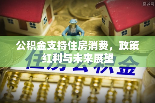 陇南公积金支持住房消费，政策红利与未来展望
