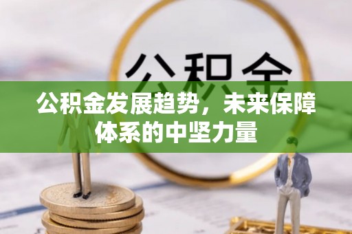 陇南公积金发展趋势，未来保障体系的中坚力量