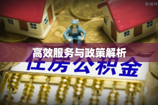 陇南高效服务与政策解析