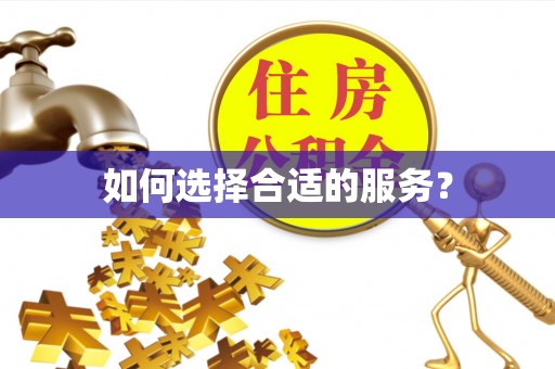 陇南如何选择合适的服务？