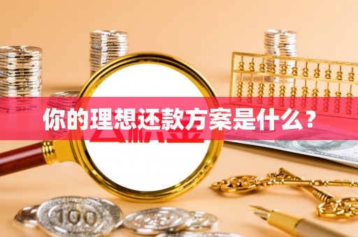 陇南你的理想还款方案是什么？