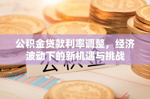 陇南公积金贷款利率调整，经济波动下的新机遇与挑战