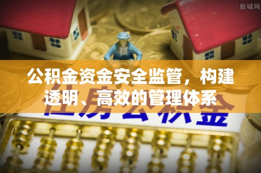 陇南公积金资金安全监管，构建透明、高效的管理体系