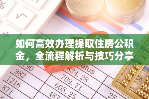 陇南如何高效办理提取住房公积金，全流程解析与技巧分享