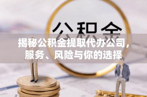 陇南揭秘公积金提取代办公司，服务、风险与你的选择