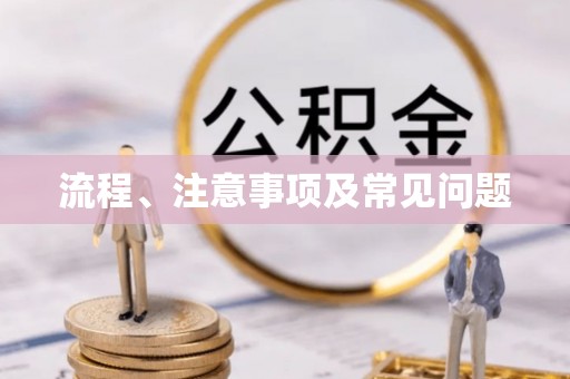 陇南流程、注意事项及常见问题