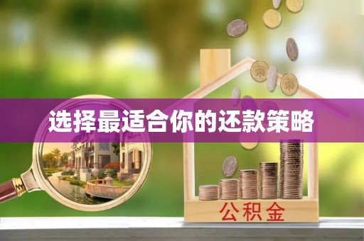 陇南选择最适合你的还款策略
